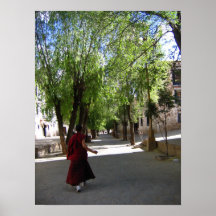 tibet senglv posters