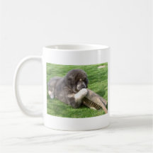 Tibetan Mastiff Jampo with broom Coffee Mug