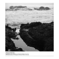 Tidepools at Bodega Station by Ansel Adams posters