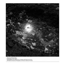 Tidepools at Bodega Station by Ansel Adams posters