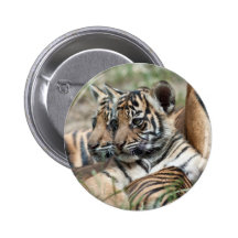 Tiger cubs button