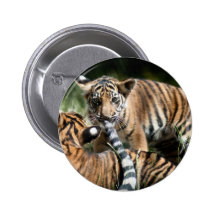 Tiger cubs pin