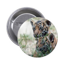 Tiger cubs pins