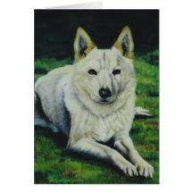 "Tiger" Greeting Cards