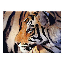 Tiger Invitation