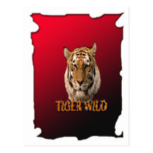Tiger King Of The Jungle with background Postcard