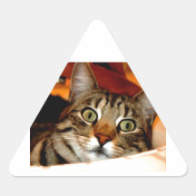 Tiger Kitty Sticker