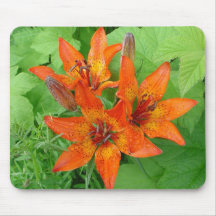 Tiger Lilies Mouse Pad