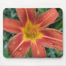 Tiger Lily in the Rain Mousepad
