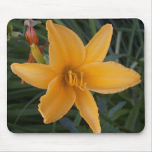 Tiger Lily Mouse Pad