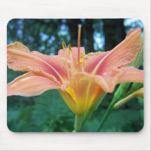 tiger lily mouse pad