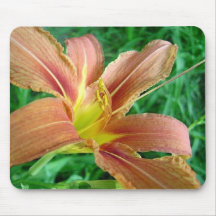 Tiger Lily Mouse Pad