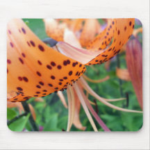 Tiger Lily Mouse Pads