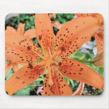 Tiger Lily Mouse Pads