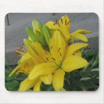 Tiger Lily Mousepads