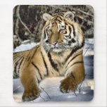 Tiger Lovers Art Gifts Mousepads