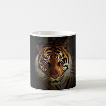 Tiger Mugs