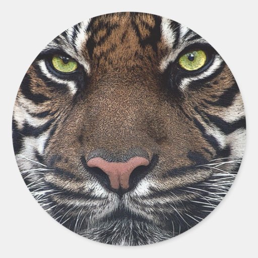 Tiger Round Sticker