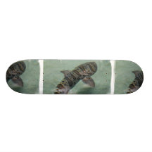 Tiger Shark Skateboard