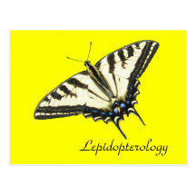 Tiger swallowtail butterfly Lepidopterology Post Cards