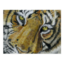 Tiger Wildlife Art Necklace Postcards