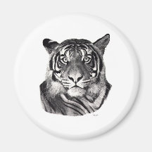 Tigereyes Refrigerator Magnets