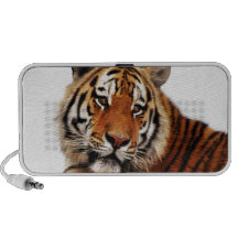 Tigers side glance laptop speakers