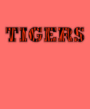 TIGERS T SHIRTS