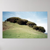 Tilden Park, Berkeley, CA Posters
