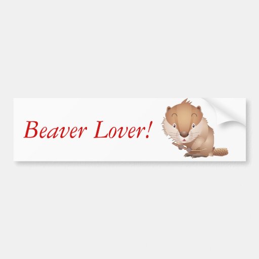 Timid Beaver Bumper Stickers