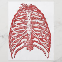 Tin Ribs Custom Flyer