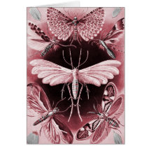 Tineida - Mothes Greeting Cards