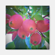 Tiny Apples Magnets
