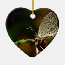 Tiny Grass Blue Zizula Hylax Butterfly Ornament