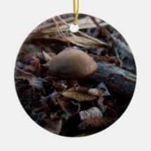 Tiny Mushroom Christmas Ornaments