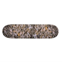 Tiny shells Shell Skate Board Deck