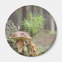 Tiny Wild Mushroom Fridge Magnet