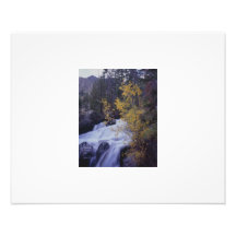 Tioga Pass Photographic Print