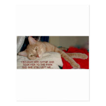 TIRED KITTY POSTCARD