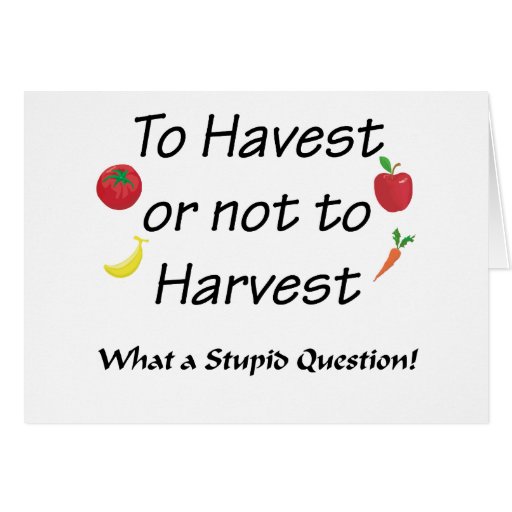 To Harvest or Not to Harvest Greeting Card