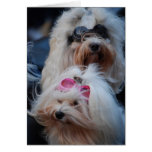 “To the Lissome Love of my life” Greeting Cards