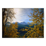 To the Sun Road Vista - Glacier National Park Greeting Cards