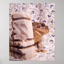 Toad frog marble chess piece prop flowered back print