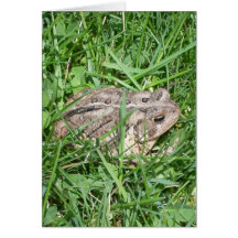 Toad in the Grass Greeting Card