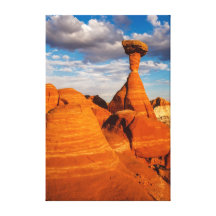 Toadstool Afternoon Gallery Wrapped Canvas