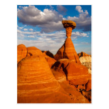 Toadstool Afternoon Postcard