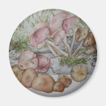toadstool magnets
