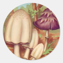 Toadstools 1 round sticker