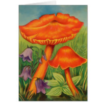 Toadstools 2 cards