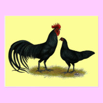 Tomaru Long Crower Chickens postcards